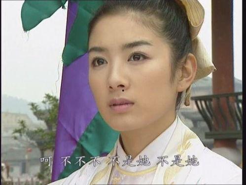 叶璇再生缘在线观看,穿越时空的奇幻之旅